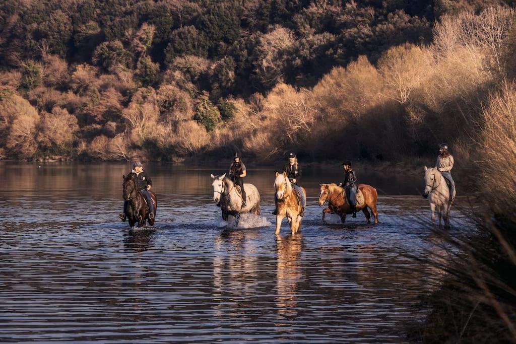 La Dimora Del Cavaliere - Stupenda Dimora A 5 Min Dal Lago Di Martignano Ангвиллара-Сабация Экстерьер фото